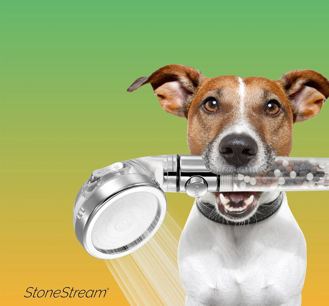 Le meilleur pommeau de douche pour chiens avec un jet doux pour laver facilement votre animal